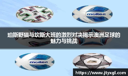 BB贝博登录入口